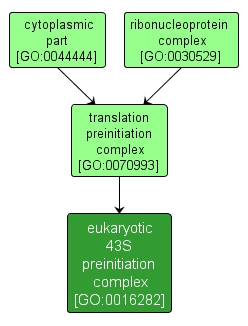 GO:0016282 - eukaryotic 43S preinitiation complex (interactive image map)
