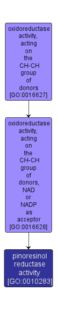 GO:0010283 - pinoresinol reductase activity (interactive image map)