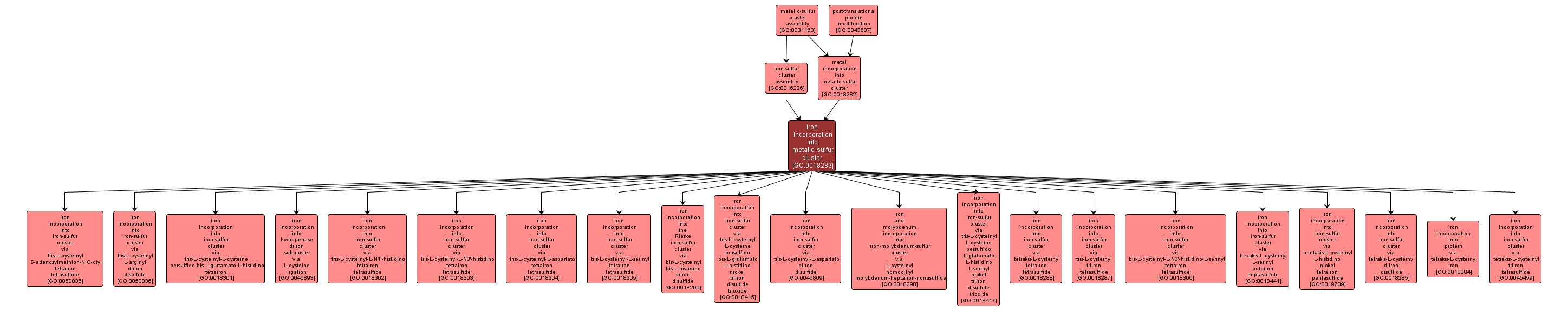 GO:0018283 - iron incorporation into metallo-sulfur cluster (interactive image map)