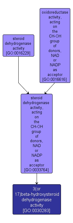 GO:0030283 - 3(or 17)beta-hydroxysteroid dehydrogenase activity (interactive image map)