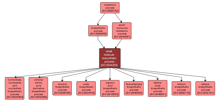 GO:0044283 - small molecule biosynthetic process (interactive image map)