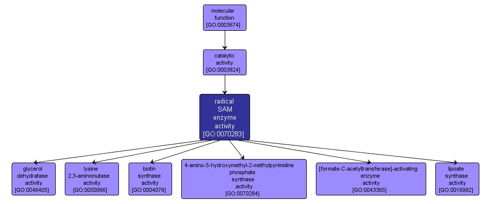 GO:0070283 - radical SAM enzyme activity (interactive image map)