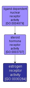 GO:0030284 - estrogen receptor activity (interactive image map)