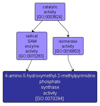GO:0070284 - 4-amino-5-hydroxymethyl-2-methylpyrimidine phosphate synthase activity (interactive image map)