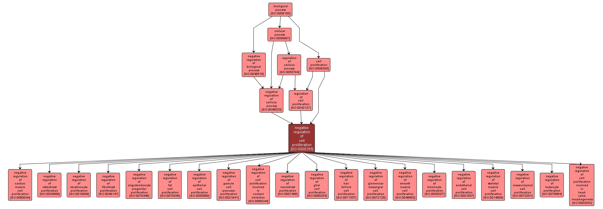 GO:0008285 - negative regulation of cell proliferation (interactive image map)