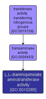 GO:0010285 - L,L-diaminopimelate aminotransferase activity (interactive image map)