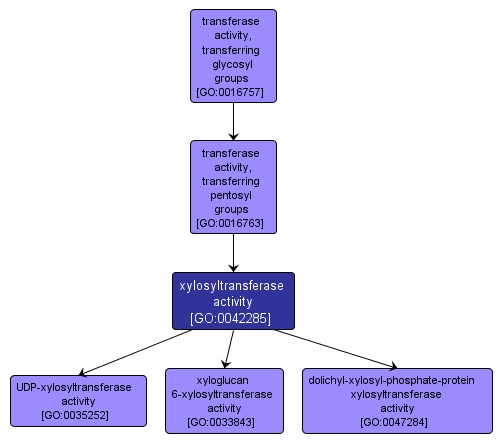 GO:0042285 - xylosyltransferase activity (interactive image map)