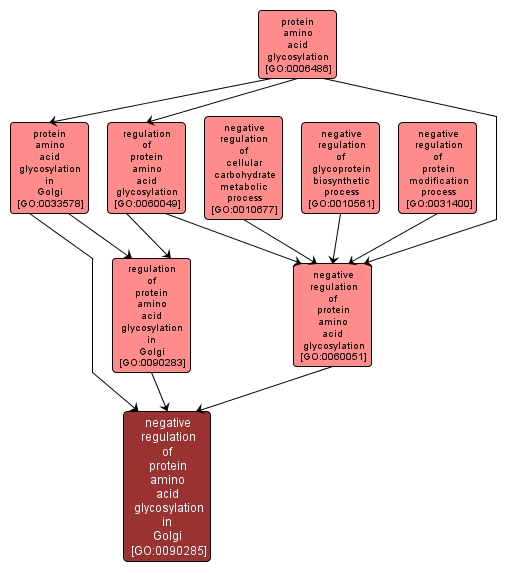 GO:0090285 - negative regulation of protein amino acid glycosylation in Golgi (interactive image map)