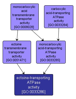 GO:0033286 - ectoine-transporting ATPase activity (interactive image map)