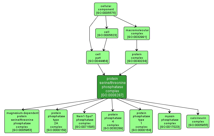 GO:0008287 - protein serine/threonine phosphatase complex (interactive image map)