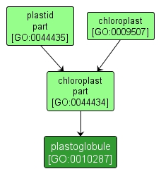 GO:0010287 - plastoglobule (interactive image map)