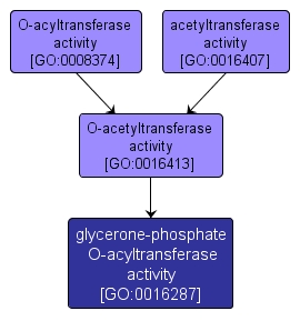 GO:0016287 - glycerone-phosphate O-acyltransferase activity (interactive image map)
