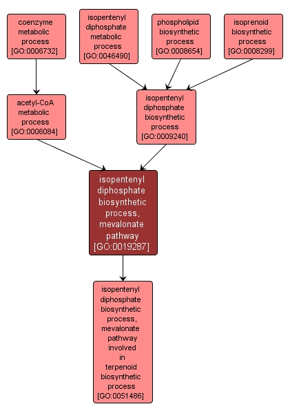 GO:0019287 - isopentenyl diphosphate biosynthetic process, mevalonate pathway (interactive image map)
