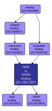 GO:0051287 - NAD or NADH binding (interactive image map)