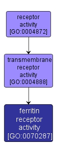 GO:0070287 - ferritin receptor activity (interactive image map)