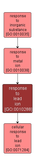 GO:0010288 - response to lead ion (interactive image map)