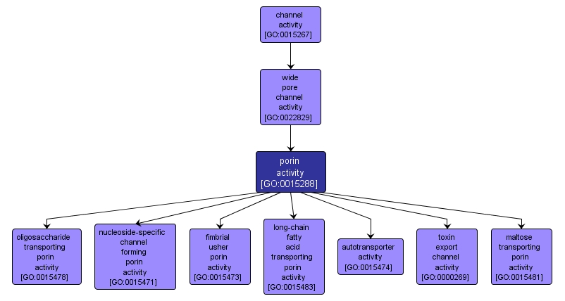 GO:0015288 - porin activity (interactive image map)