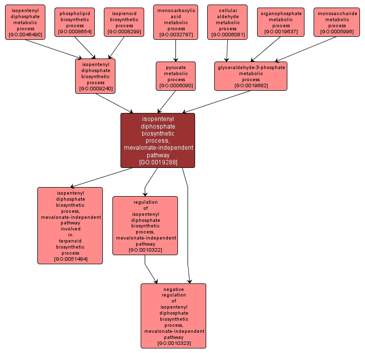 GO:0019288 - isopentenyl diphosphate biosynthetic process, mevalonate-independent pathway (interactive image map)