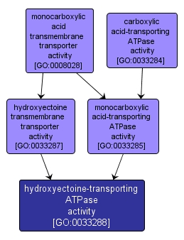 GO:0033288 - hydroxyectoine-transporting ATPase activity (interactive image map)