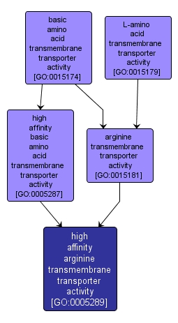 GO:0005289 - high affinity arginine transmembrane transporter activity (interactive image map)