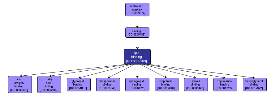 GO:0008289 - lipid binding (interactive image map)