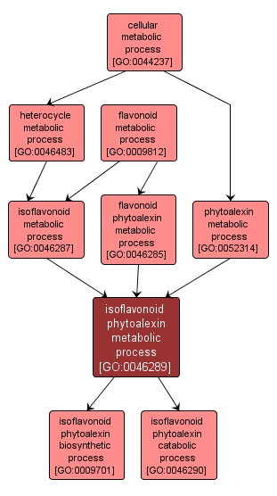 GO:0046289 - isoflavonoid phytoalexin metabolic process (interactive image map)