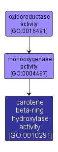 GO:0010291 - carotene beta-ring hydroxylase activity (interactive image map)