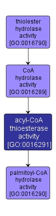 GO:0016291 - acyl-CoA thioesterase activity (interactive image map)