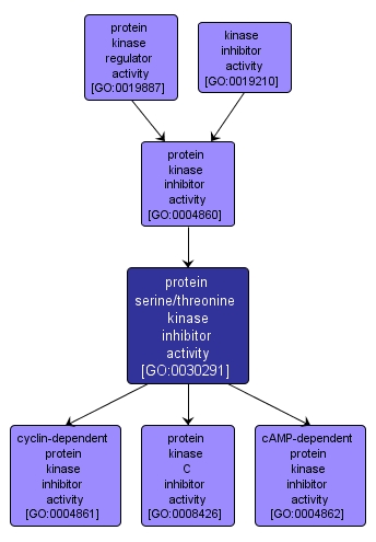 GO:0030291 - protein serine/threonine kinase inhibitor activity (interactive image map)