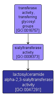 GO:0047291 - lactosylceramide alpha-2,3-sialyltransferase activity (interactive image map)