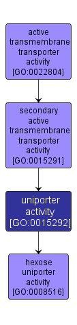 GO:0015292 - uniporter activity (interactive image map)