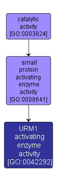 GO:0042292 - URM1 activating enzyme activity (interactive image map)