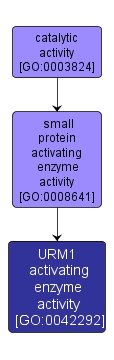 GO:0042292 - URM1 activating enzyme activity (interactive image map)
