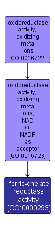 GO:0000293 - ferric-chelate reductase activity (interactive image map)