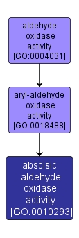 GO:0010293 - abscisic aldehyde oxidase activity (interactive image map)