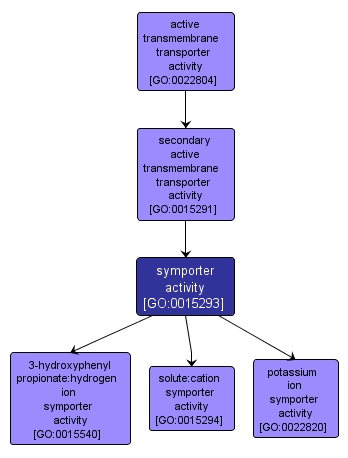 GO:0015293 - symporter activity (interactive image map)