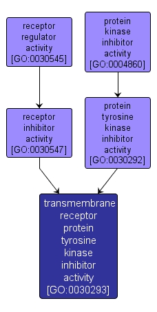 GO:0030293 - transmembrane receptor protein tyrosine kinase inhibitor activity (interactive image map)