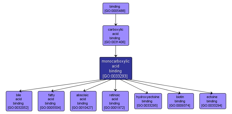 GO:0033293 - monocarboxylic acid binding (interactive image map)