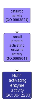 GO:0042293 - Hub1 activating enzyme activity (interactive image map)