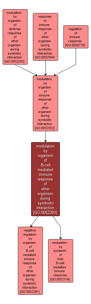 GO:0052293 - modulation by organism of B-cell mediated immune response of other organism during symbiotic interaction (interactive image map)