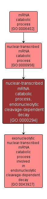 GO:0000294 - nuclear-transcribed mRNA catabolic process, endonucleolytic cleavage-dependent decay (interactive image map)
