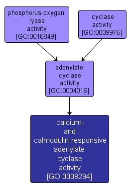 GO:0008294 - calcium- and calmodulin-responsive adenylate cyclase activity (interactive image map)