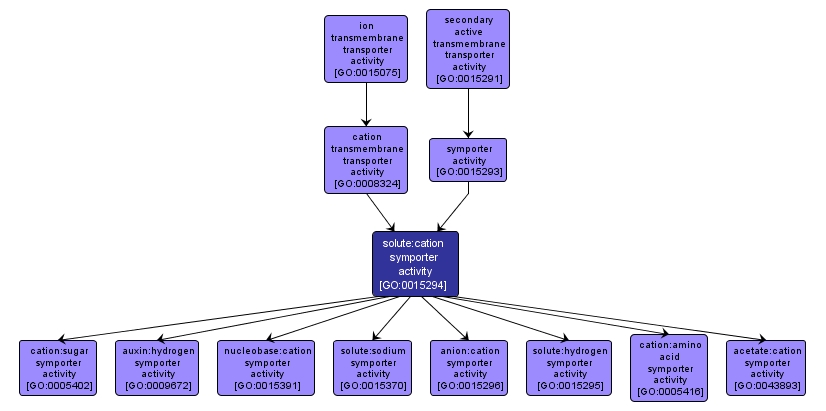 GO:0015294 - solute:cation symporter activity (interactive image map)