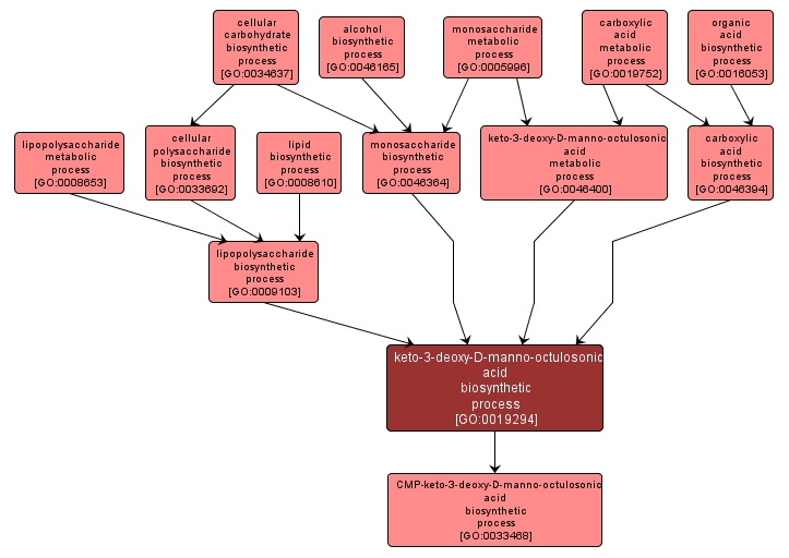 GO:0019294 - keto-3-deoxy-D-manno-octulosonic acid biosynthetic process (interactive image map)