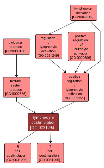 GO:0031294 - lymphocyte costimulation (interactive image map)