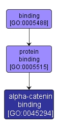 GO:0045294 - alpha-catenin binding (interactive image map)