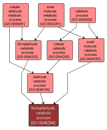 GO:0046294 - formaldehyde catabolic process (interactive image map)