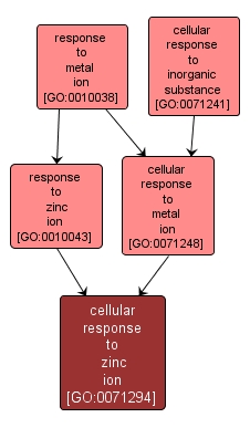 GO:0071294 - cellular response to zinc ion (interactive image map)