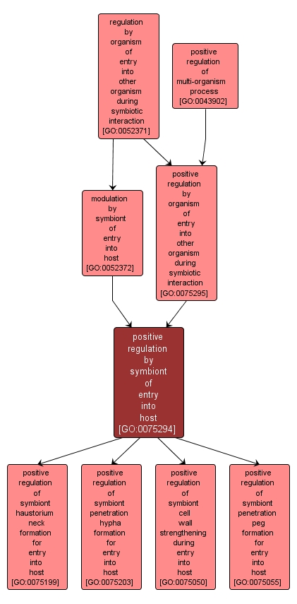 GO:0075294 - positive regulation by symbiont of entry into host (interactive image map)