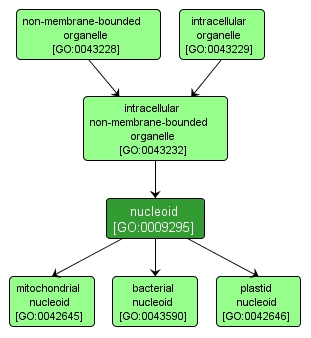 GO:0009295 - nucleoid (interactive image map)